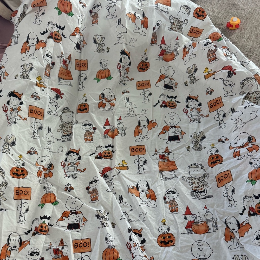 Pottery Barn kids Peanuts Snoopy HALLOWEEN sheet